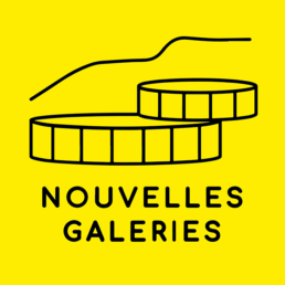 Logo des nouvelles galeries Annecy, Bar à vin à Annecy, Le Salon Français des Galeries